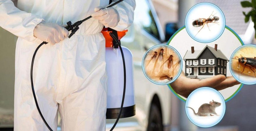 Şemikler Böcek İlaçlama