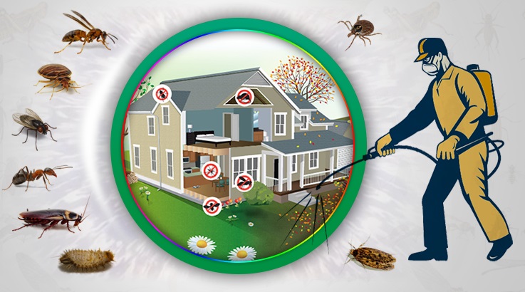 Şemikler Böcek İlaçlama