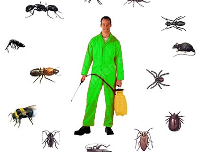 Şemikler Böcek İlaçlama